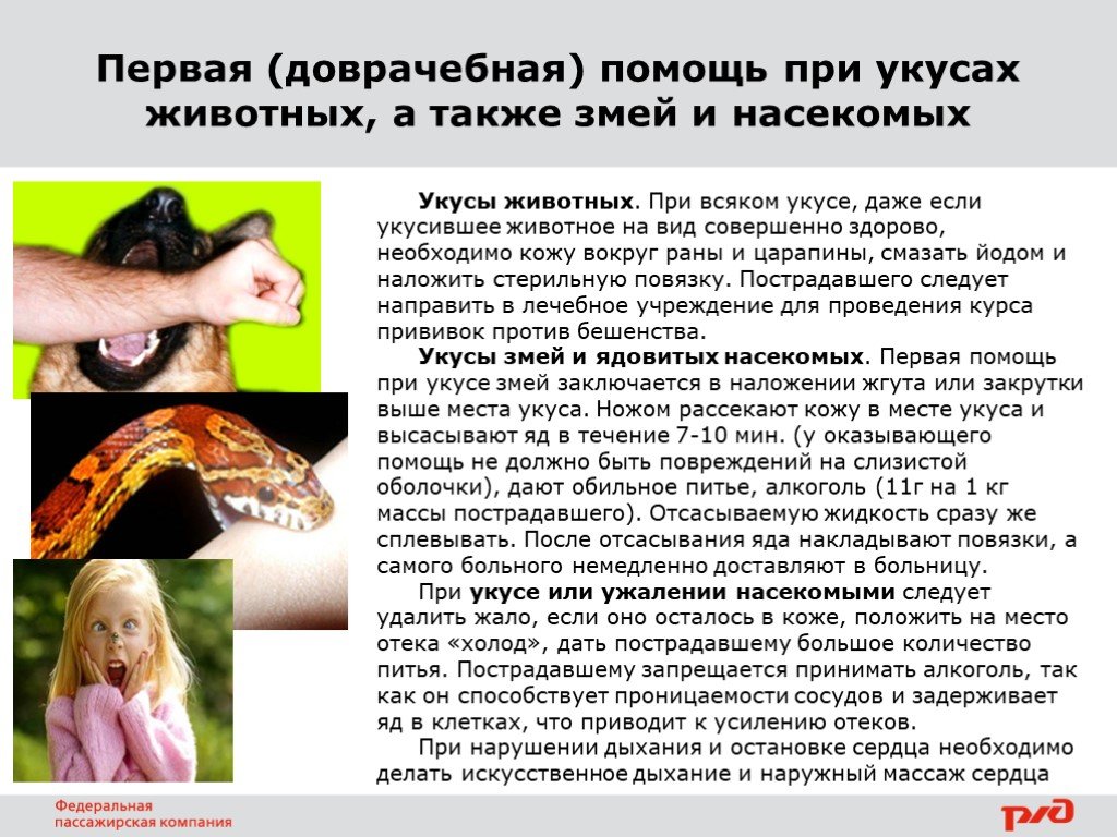 Что делать при укусе ядовитого животного. При укусе ядовитой змеи:. Первая помощь при укусе ядовитых животных. Оказание первой помощи при укусах животных и змей. Первая помощь при укусах змей и насекомых.